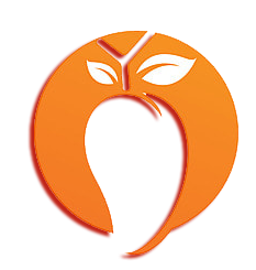 CMS Logo